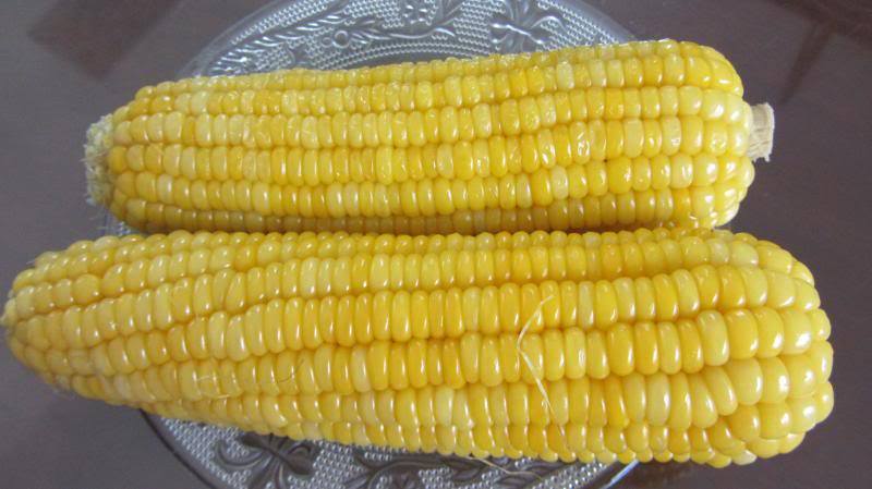 ĂN NGÔ HÀNG TUẦN GIÚP TĂNG CƯỜNG SỨC KHỎE