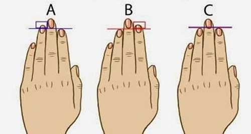 Độ dài ngón tay tiết lộ gì về con người bạn