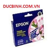 Mực in Epson Light Magenta Ink Cartridge 110ml - SP4800