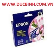 Mực in Epson Light Magenta Ink Cartridge 220ml, SP 480