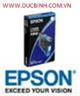 Mực in phun Epson Stylus Pro 11880 Light Black Ink Cartridge 700ml