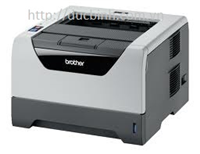 Máy in laser đen trắng Brother HL - 5350DN
